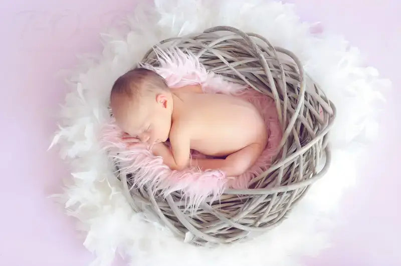 GEBURTSURKUNDE - Beglaubigte Übersetzung